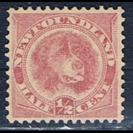 http://morawino-stamps.com/sklep/13213-thickbox/kolonie-bryt-wyspa-nowa-fundlandia-new-foundland-35c.jpg