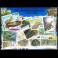 Amphibians and reptiles - a package of 50 stamps