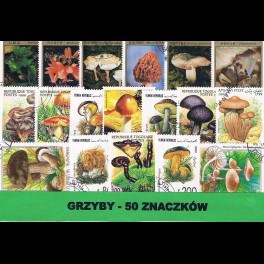 http://morawino-stamps.com/sklep/3446-thickbox/mushrooms-packet-of-50-pc-poststamps.jpg