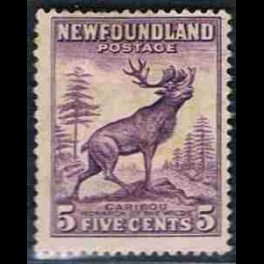 http://morawino-stamps.com/sklep/3712-thickbox/kolonie-bryt-new-foundland-188ia.jpg