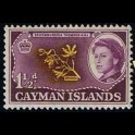 https://morawino-stamps.com/sklep/1397-large/koloniebryt-kajmany156.jpg